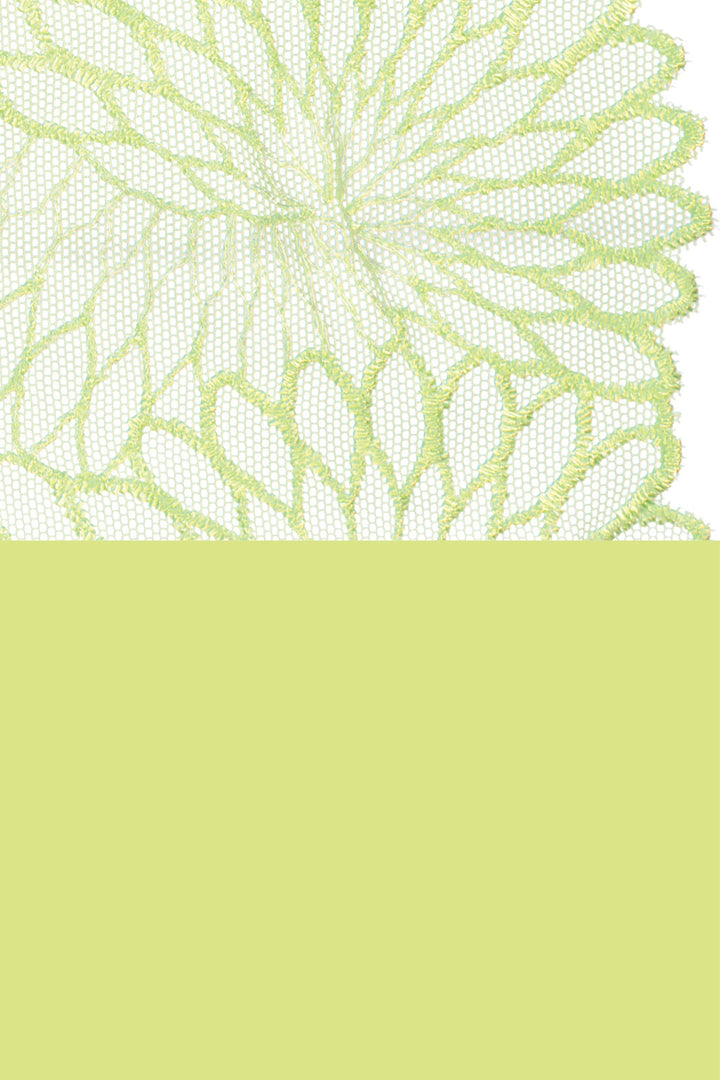 PrimaDonna Sophora Thong - Lime Crush - CURATED LINGERIE