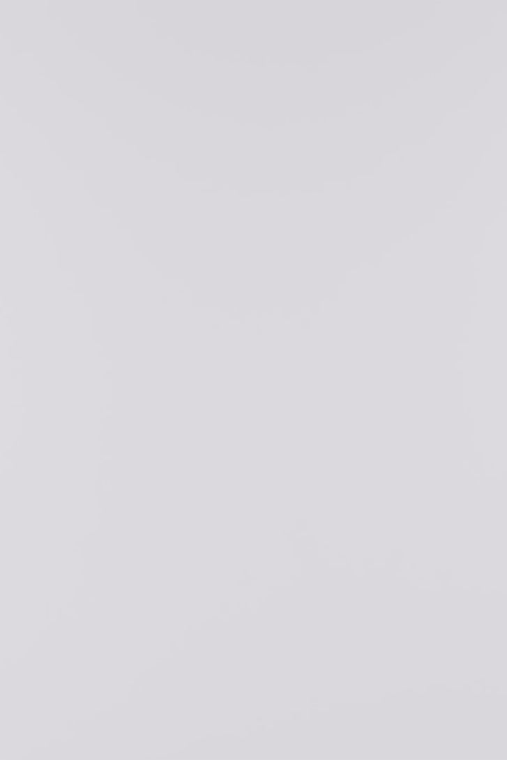 Hanky Panky Signature Lace Original Rise Thong - Violets are Blue.